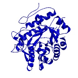 Image of CATH 1vji