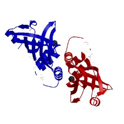 Image of CATH 1vjl