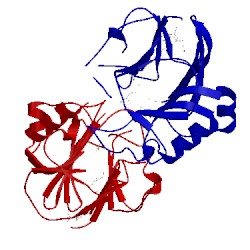 Image of CATH 1vjn