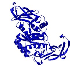 Image of CATH 1vjs
