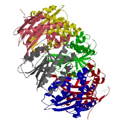 Image of CATH 1vk0