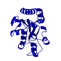 Image of CATH 1vk2