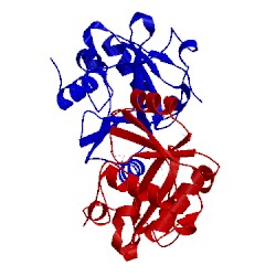 Image of CATH 1vki