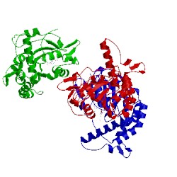 Image of CATH 1vkj