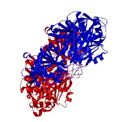 Image of CATH 1vkl