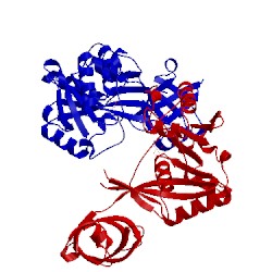 Image of CATH 1vky