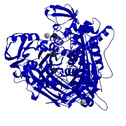 Image of CATH 1vlb