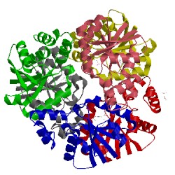 Image of CATH 1vlh