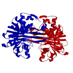 Image of CATH 1vll