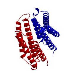 Image of CATH 1vlt