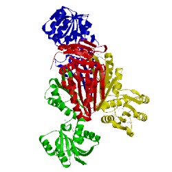 Image of CATH 1vm6