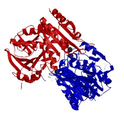 Image of CATH 1vme