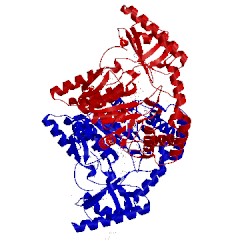 Image of CATH 1vp4