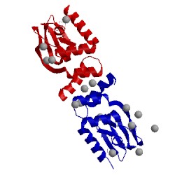 Image of CATH 1vp6