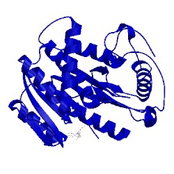 Image of CATH 1vp9