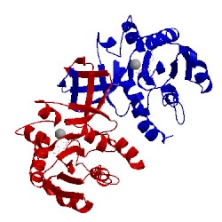 Image of CATH 1vpa