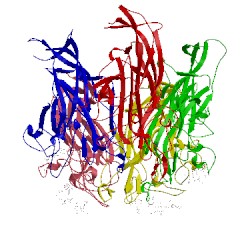 Image of CATH 1vps