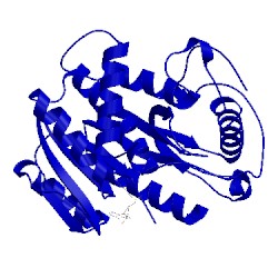 Image of CATH 1vpt