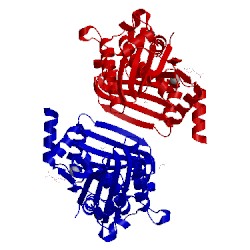 Image of CATH 1vq0