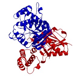 Image of CATH 1vq1
