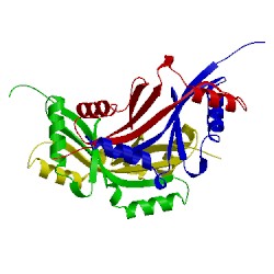 Image of CATH 1vq3
