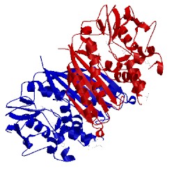 Image of CATH 1vqv
