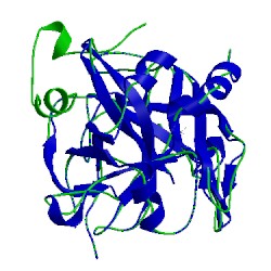 Image of CATH 1vr1