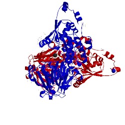 Image of CATH 1vr5