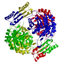 Image of CATH 1vr6