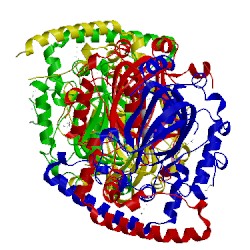 Image of CATH 1vrb