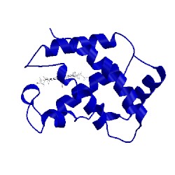 Image of CATH 1vre