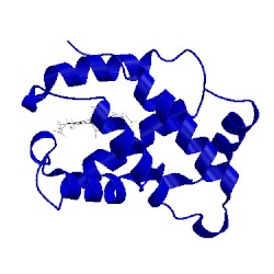 Image of CATH 1vrf