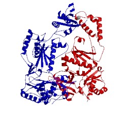 Image of CATH 1vrt