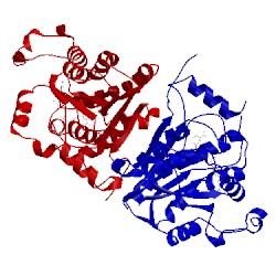 Image of CATH 1vrw