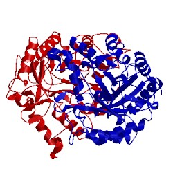 Image of CATH 1vrx