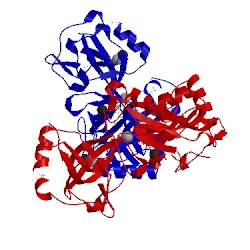 Image of CATH 1vs0