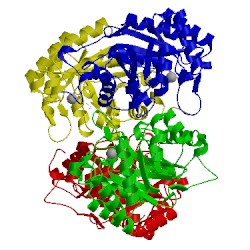 Image of CATH 1vs1