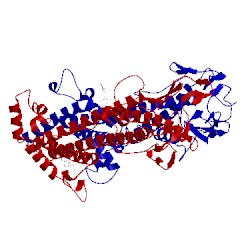 Image of CATH 1vsg