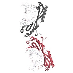 Image of CATH 1vtl