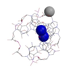 Image of CATH 1vty