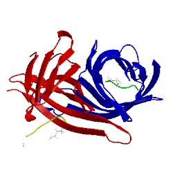 Image of CATH 1vwk