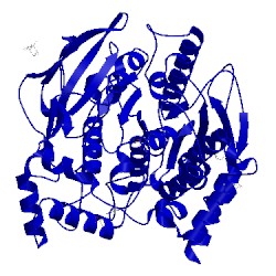 Image of CATH 1vxr