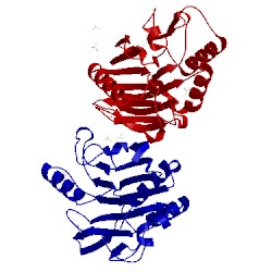 Image of CATH 1vyb