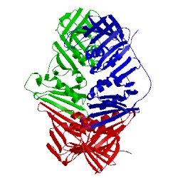 Image of CATH 1vym