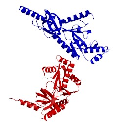 Image of CATH 1vyv