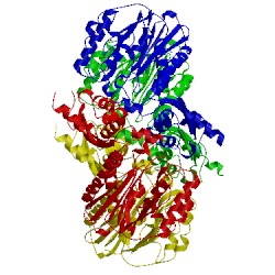 Image of CATH 1vz7