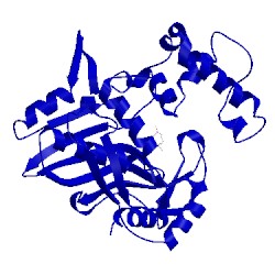 Image of CATH 1vza