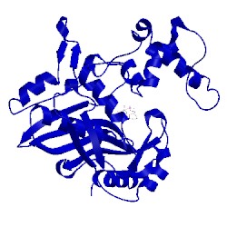 Image of CATH 1vzc