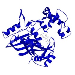 Image of CATH 1vzd