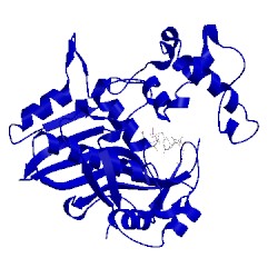 Image of CATH 1vze